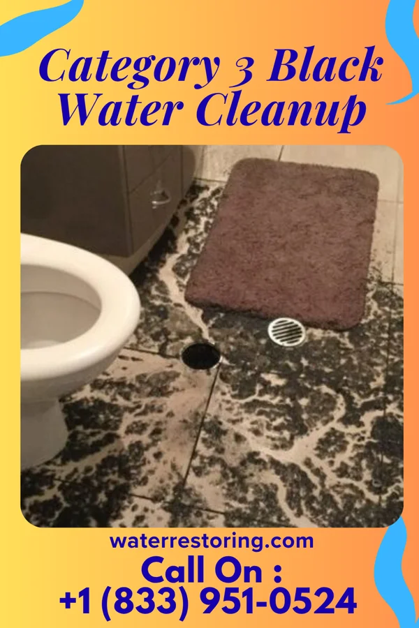 Category 3 Black Water Cleanup in Dresden, OH