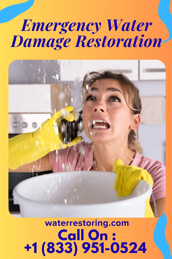 Emergency Water Damage Restoration in Dresden, OH