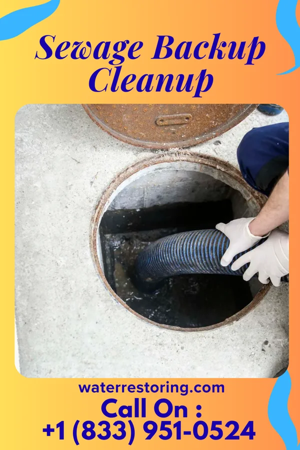 Sewage Backup Cleanup in Dresden, OH